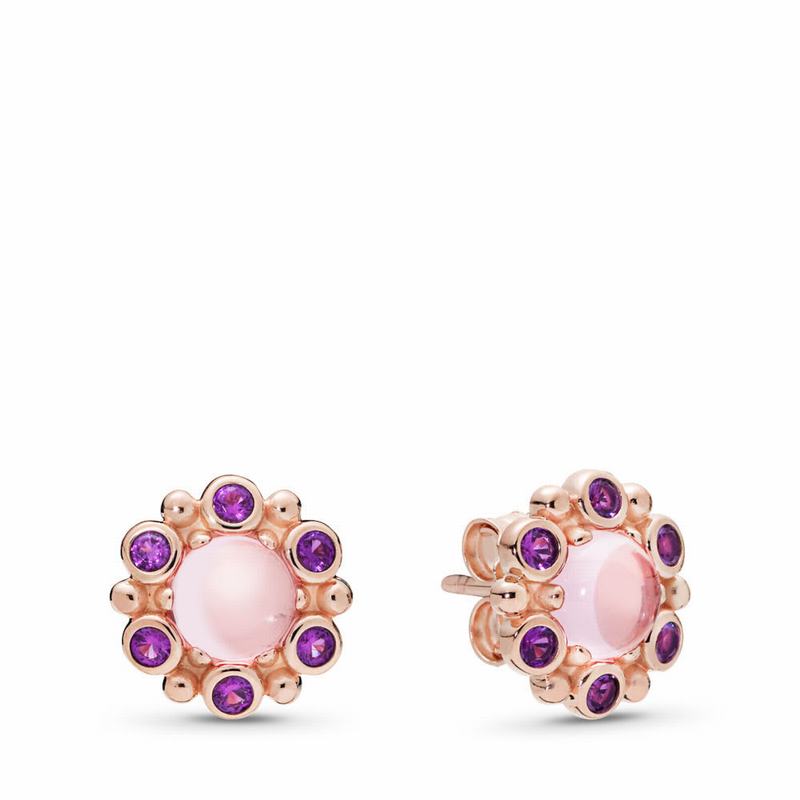 Pandora Rose™ Heraldic Radiance Stud Earrings Sale NZ (693140-JCF)